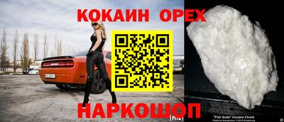 крисы Кулебаки