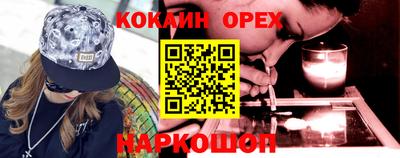 крисы Кулебаки
