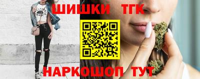 крисы Кулебаки