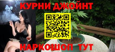крисы Кулебаки